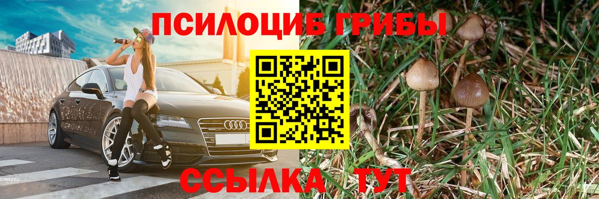 Псилоцибиновые грибы Psilocybine cubensis  Псилоцибиновые грибы Cubensis  Солнечногорск 