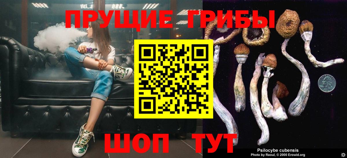 Псилоцибиновые грибы ЛСД Солнечногорск
