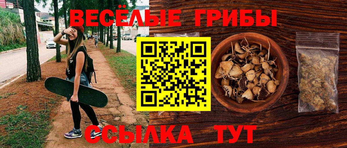 Галлюциногенные грибы мухоморы Солнечногорск